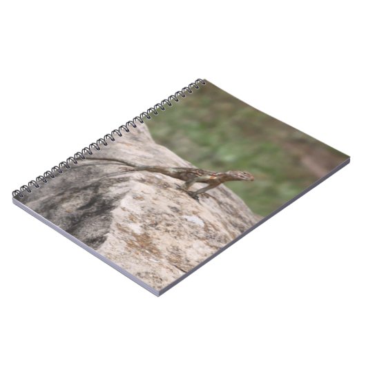 hagedis notitieboek (Linkerzijde)