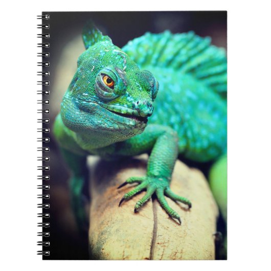 hagedis notitieboek (Voorkant)