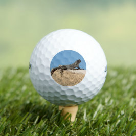 Hagedis op Baksteen Golfballen