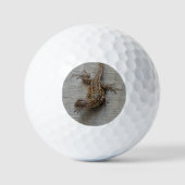 hagedis op cement golfballen (Voorkant)