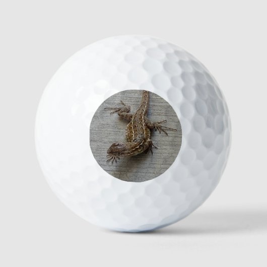 hagedis op cement golfballen (Voorkant)