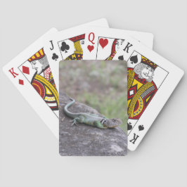 hagedis pokerkaarten