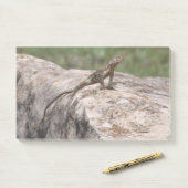 hagedis post-it® notes (Op bureau)