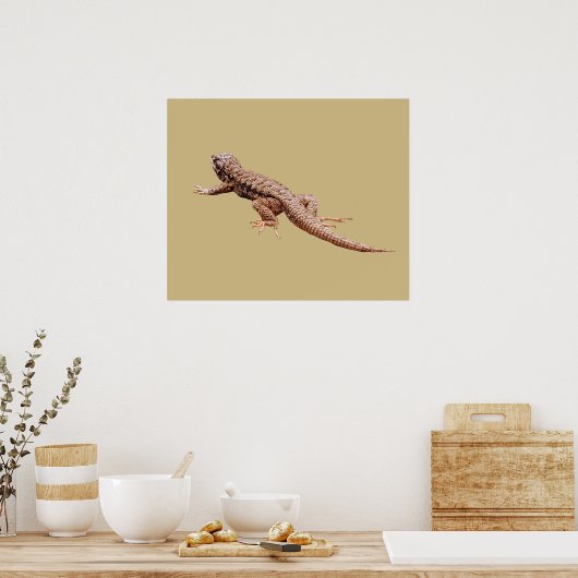 Hagedis Poster (Keuken)