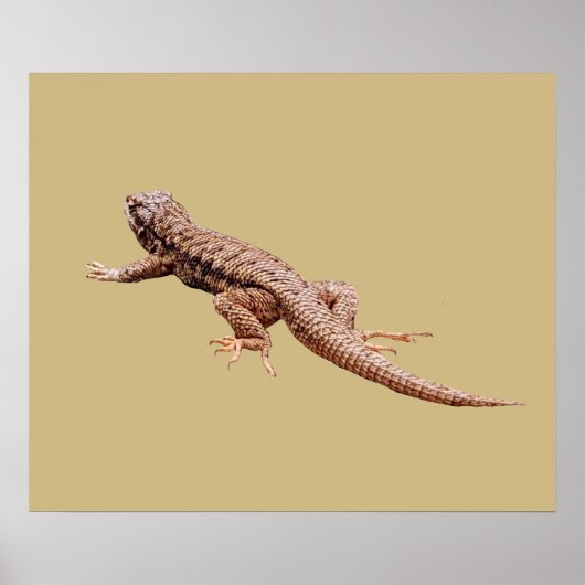Hagedis Poster (Voorkant)
