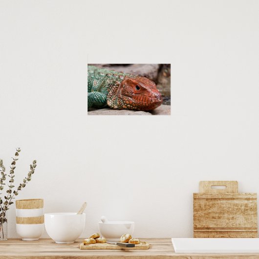 hagedis poster (Keuken)