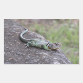 hagedis rechthoekige sticker