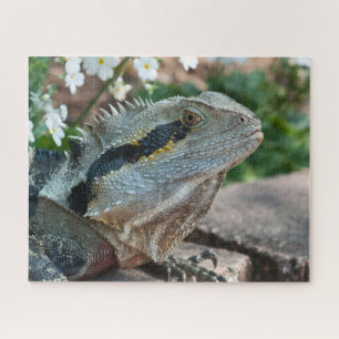 Hagedis Reptiel Oostelijke Waterdraak Legpuzzel