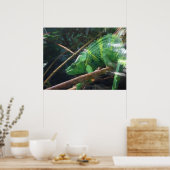 hagedis, reptielen, kameleon, Natuur Poster (Keuken)