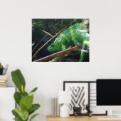 hagedis, reptielen, kameleon, Natuur Poster (Thuiskantoor)