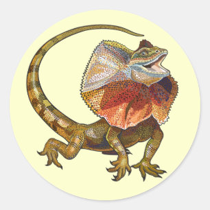 hagedis ronde sticker