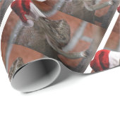 hagedis-Santa-Pet Cadeaupapier (Rol Hoek)