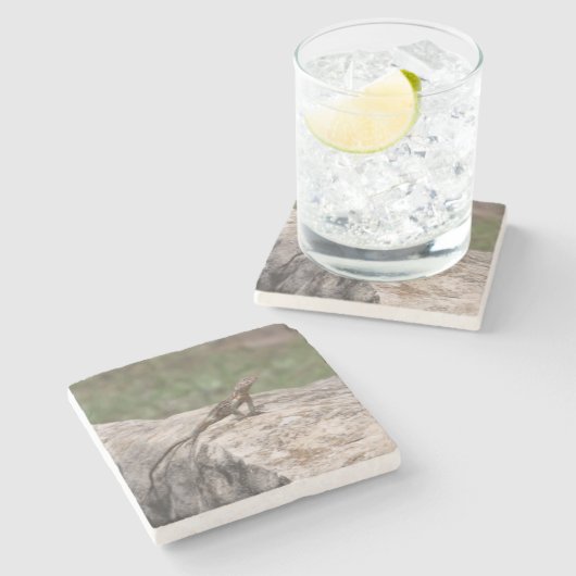 hagedis stenen onderzetter (Zijkant)