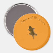 Hagedis Stijl Magneet (Voorkant / Achterkant)