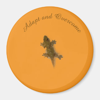 Hagedis Stijl Magneet