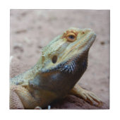 hagedis tegeltje (Voorkant)