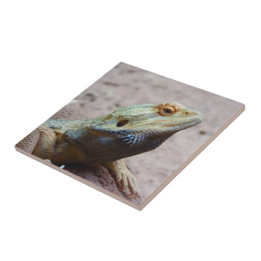 hagedis tegeltje (Zijkant)