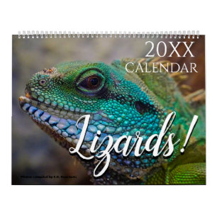 Hagedis Thema 2027 Muurkalender Cadeau Kalender