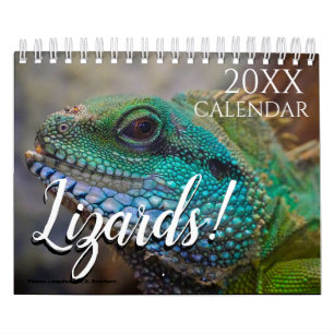 Hagedis Thema 2027 Muurkalender Cadeau Kalender