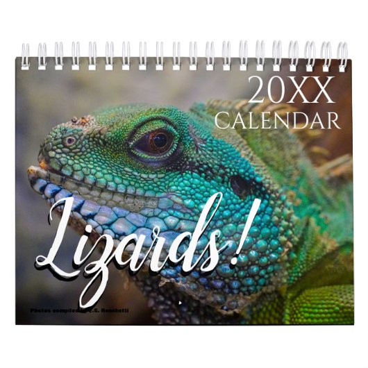 Hagedis Thema 2027 Natuur Muur Kalender (Hoes)