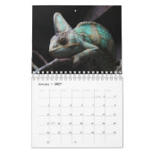 Hagedis Thema 2027 Natuur Muur Kalender (Jan 2027)