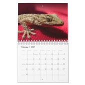 Hagedis Thema 2027 Natuur Muur Kalender (Feb 2027)