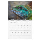 Hagedis Thema 2027 Natuur Muur Kalender (Mar 2027)