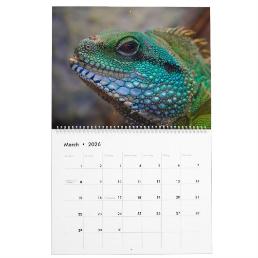 Hagedis Theme 2025 Muur Kalender Gift (Mar 2026)