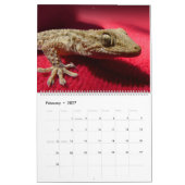 Hagedis Theme 2025 Muur Kalender Gift (Feb 2027)