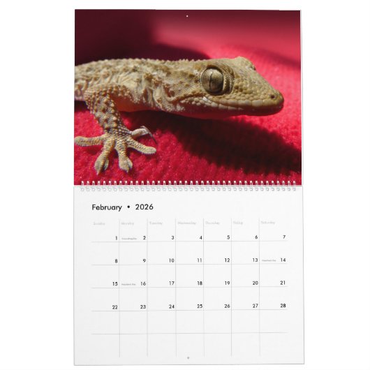 Hagedis Theme 2025 Muur Kalender Gift (Feb 2026)
