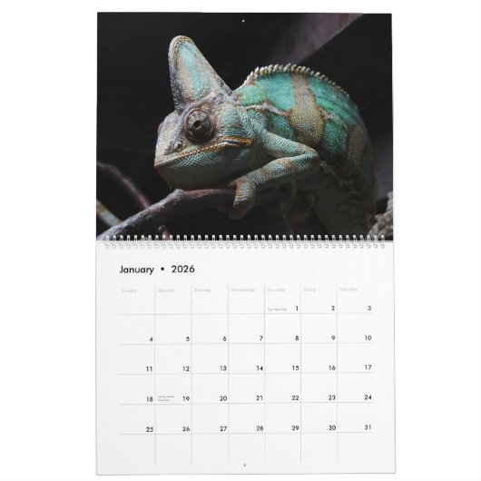 Hagedis Theme 2025 Muur Kalender Gift (Jan 2026)