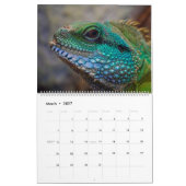 Hagedis Theme 2025 Muur Kalender Gift (Mar 2027)