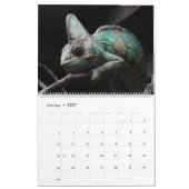 Hagedis Theme 2025 Muur Kalender Gift (Jan 2027)