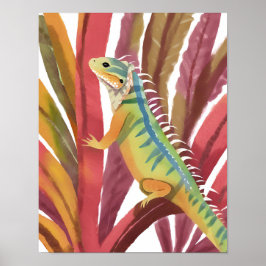 Hagedis van Caribisch gebied Poster