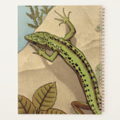 hagedis van Verneuil, Lézard, Franse reptielkunst; Planner (Achterkant)