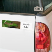 Hagedisregel Bumpersticker (Op Truck)