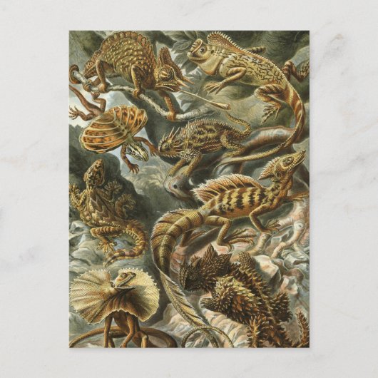 Hagedissen door Ernst Haeckel  Lacertilia Animal Briefkaart (Voorkant)