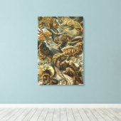 Hagedissen door Ernst Haeckel  Lacertilia Animal Canvas Afdruk (Insitu (Houten vloer))