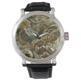 Hagedissen door Ernst Haeckel  Lacertilia Animal Horloge