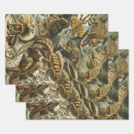 Hagedissen door Ernst Haeckel Lacertilia Animal Inpakpapier Vel