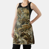 Hagedissen door Ernst Haeckel  Lacertilia Animal Schort (Insitu)