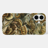 Hagedissen door Ernst Haeckel Vintage Lacertilia D Case-Mate iPhone Case (Achterkant (horizontaal))