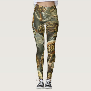 Hagedissen door Ernst Haeckel Vintage Lacertilia D Leggings