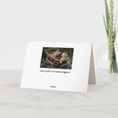 hagedissen galore-wenskaart feestdagen kaart (Achterkant)