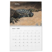 hagedissen kalender (Mar 2027)