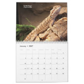 hagedissen kalender (Jan 2027)