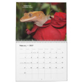 hagedissen kalender (Feb 2027)