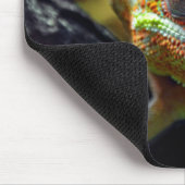 Hagedissen, reptielen muismat (Hoek)