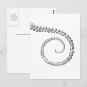  hagedisskelet briefkaart (Voorkant / Achterkant)