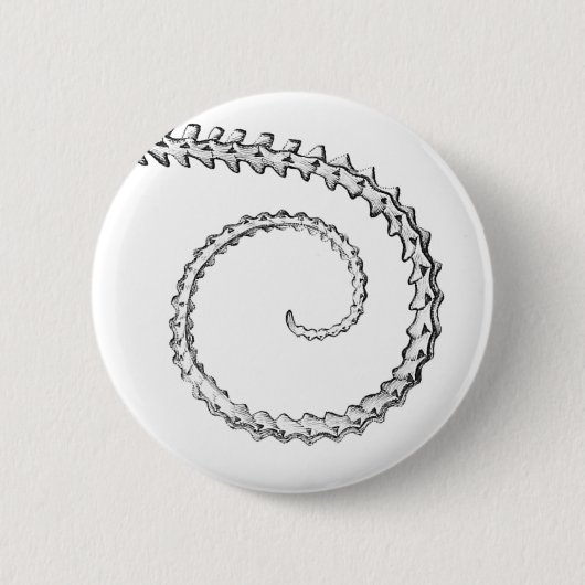 hagedisskelet ronde button 5,7 cm (Voorkant)